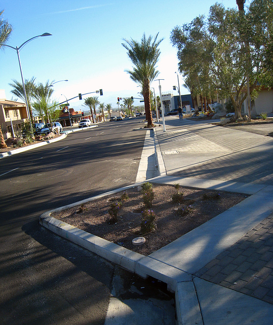 Palm Drive - First Triangle On Southbound Side (6103)