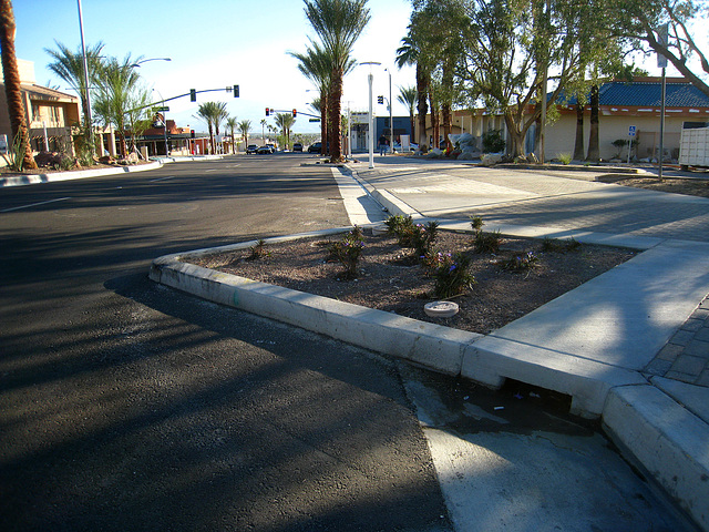 Palm Drive - First Triangle On Southbound Side (6104)