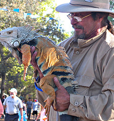 RenFest Gentleman