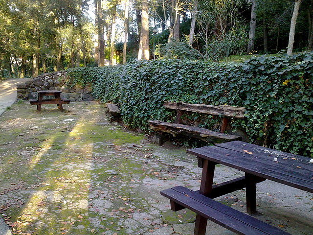 Benfica, Park Silva Porto, picnic (1)