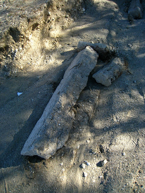Concrete washed out by the flood at Miracle Hill & Two Bunch Palms Trail (61