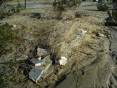 Old tiles shifted by the flood at Miracle Hill & Two Bunch Palms Trail (6181