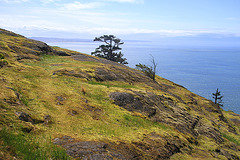 Granite Balds at Sares Head