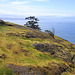 Granite Balds at Sares Head