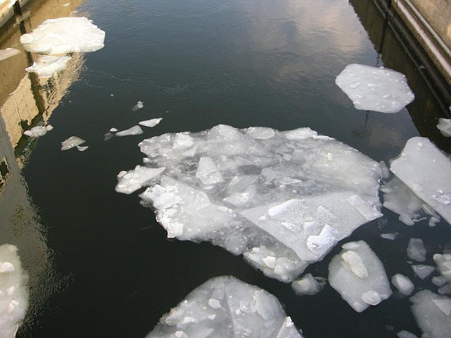 Schollen in der Schleuse