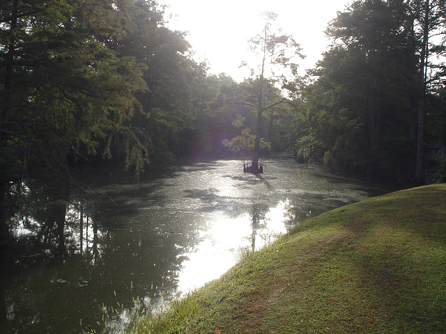 Bayou / Indianola, Mississippi. USA - 9 Juillet 2010