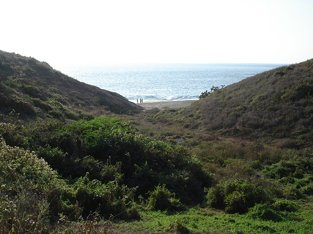 Punta Cometa /  Mazunte, Oaxaca. Mexique / 22 janvier 2011.