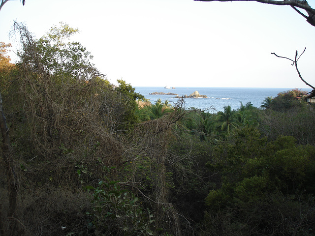 Punta Cometa /  Mazunte, Oaxaca. Mexique / 22 janvier 2011.