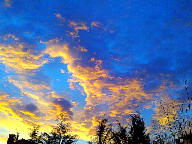 Cielo bonito