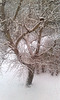 Winter in Compiègne