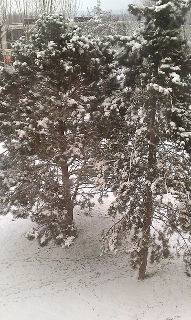 Winter in Compiègne