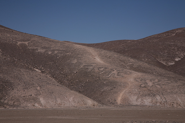 The Chug Chug Petroglyphs