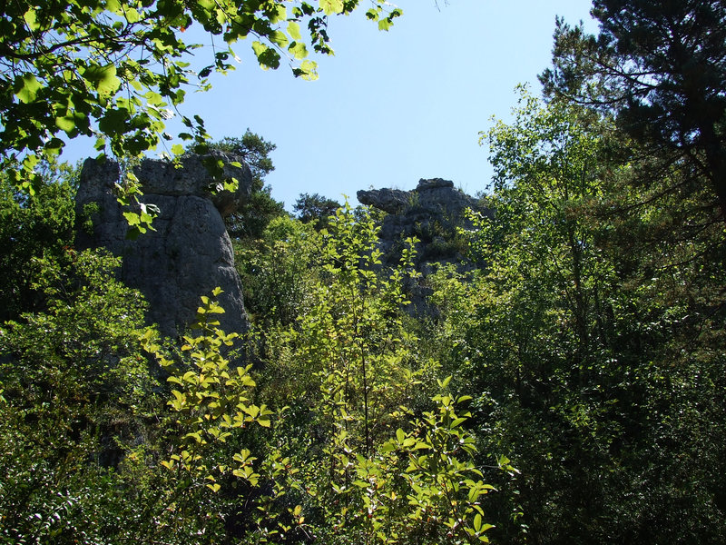 Larzac 167