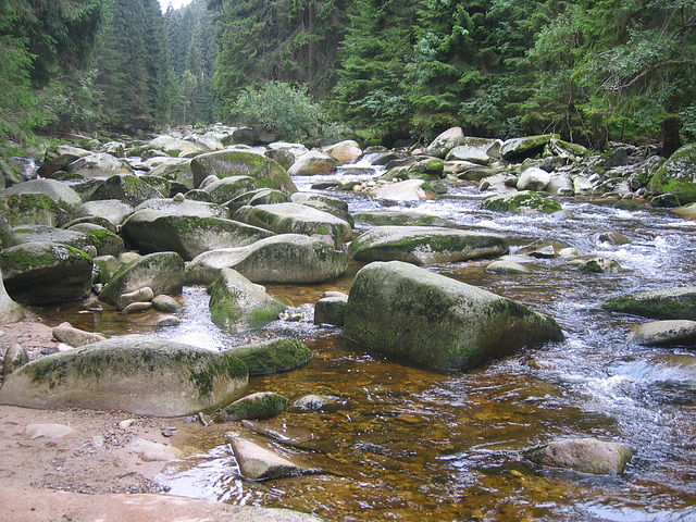 Rivero Vydra (montaro Šumava)