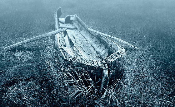 rowing through misty meadows