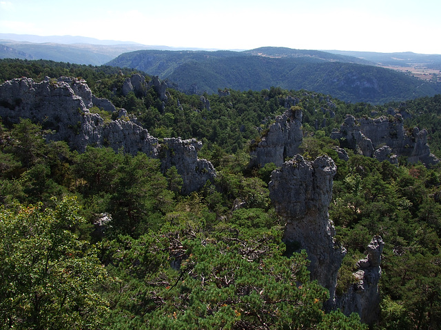 Larzac 176