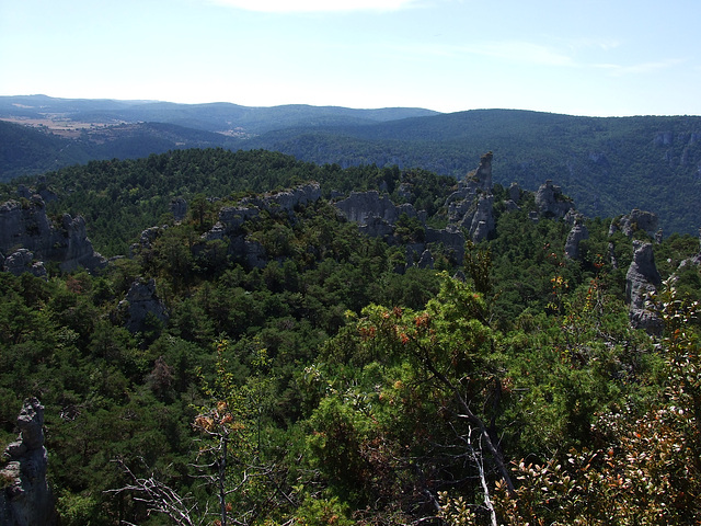 Larzac 177