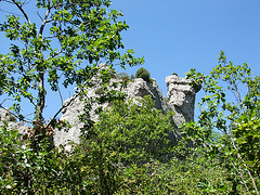 Larzac 182