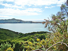 Hicks Bay from south side