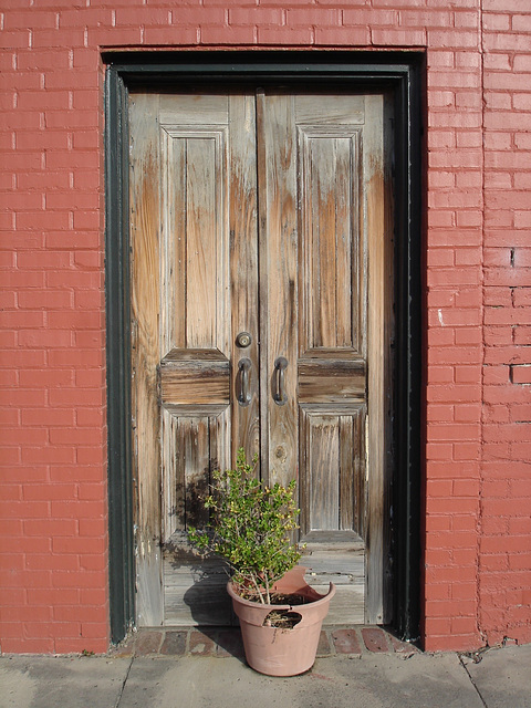 Porte botanique / Botanical door