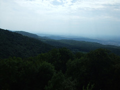Larzac 206