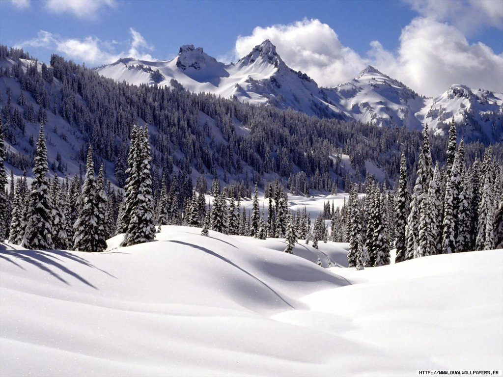 Paysage de neige.