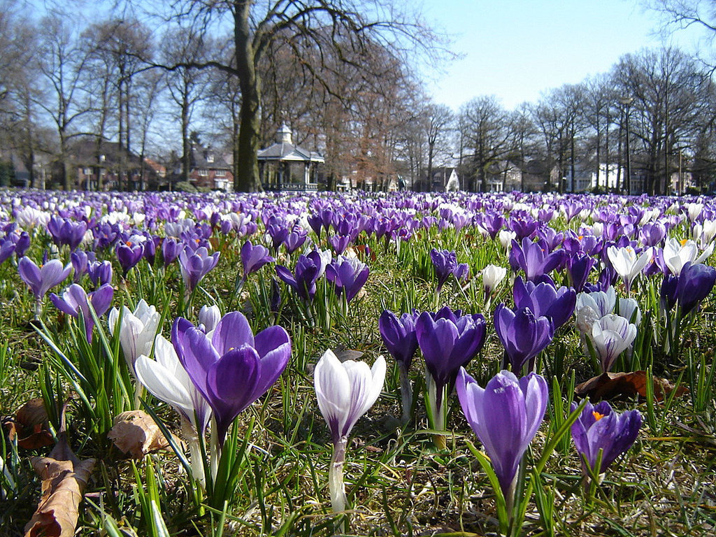 Nederland - Apeldoorn, Oranjepark