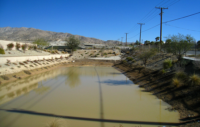 Retention Pond below Tuscan Hills (6196)