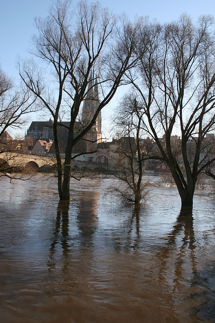 regensburg flood