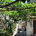 Ruelle à Rhodes