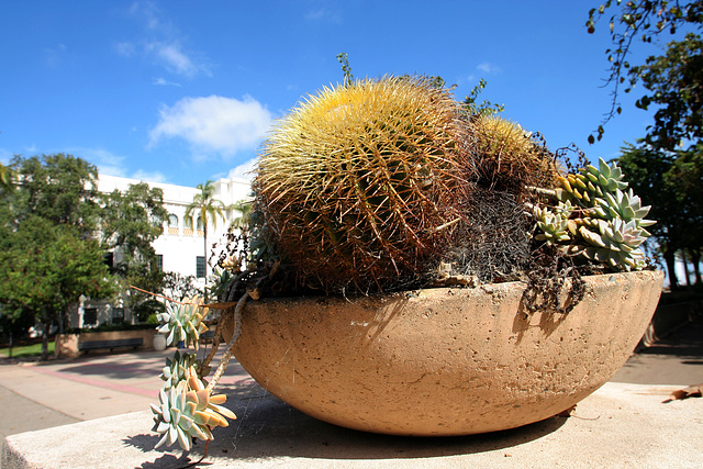 Balboa Park (8069)