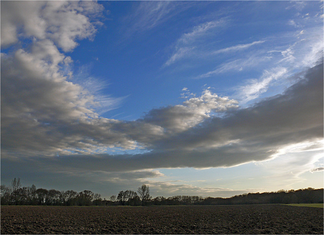 le vent dans la plaine...