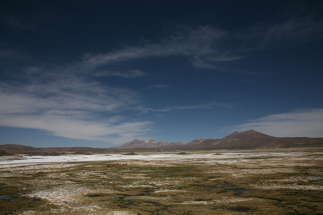 Chilean Altiplano