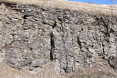 Basalte altéré (2)-Age 8 m.a.