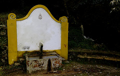 Sierra of Sintra, water spring