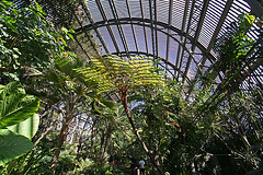 Balboa Park Botanical Pavilion (8083)