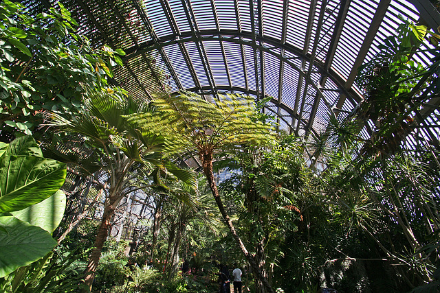 Balboa Park Botanical Pavilion (8083)