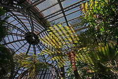 Balboa Park Botanical Pavilion (8084)