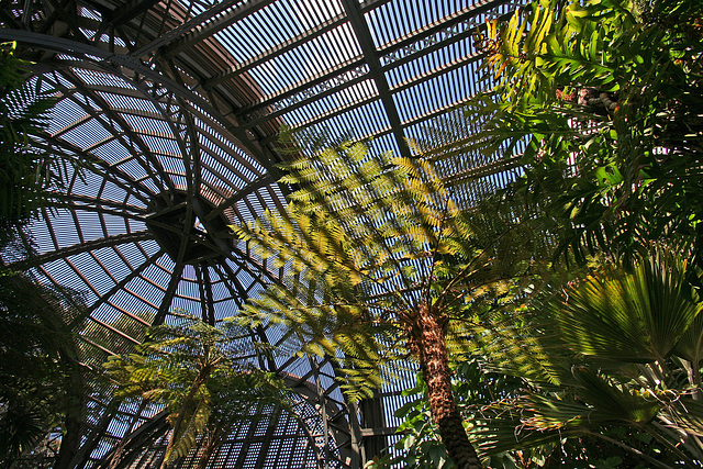 Balboa Park Botanical Pavilion (8084)