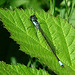 dscf2894