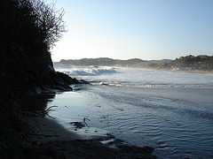 Playa Zipolite, Oaxaca / Mexique / 24 Janvier 2011.