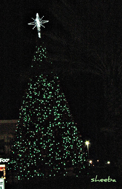 Tree in center of shopping village