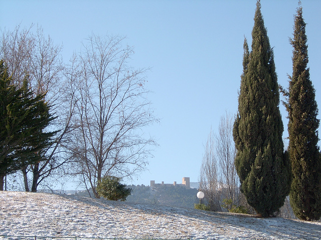 Amanecer cubierto de nieve