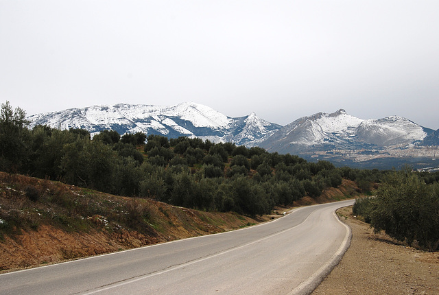 La Guardia. Jaén. Andalucía