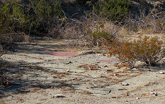 Building Remains at Miracle Hill & Two Bunch Palms Trail (0419)