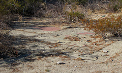 Building Remains at Miracle Hill & Two Bunch Palms Trail (0422)