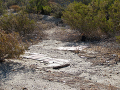 Building Remains at Miracle Hill & Two Bunch Palms Trail (0424)