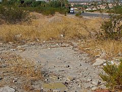 Building Remains at Miracle Hill & Two Bunch Palms Trail (0430)