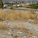 Building Remains at Miracle Hill & Two Bunch Palms Trail (0434)