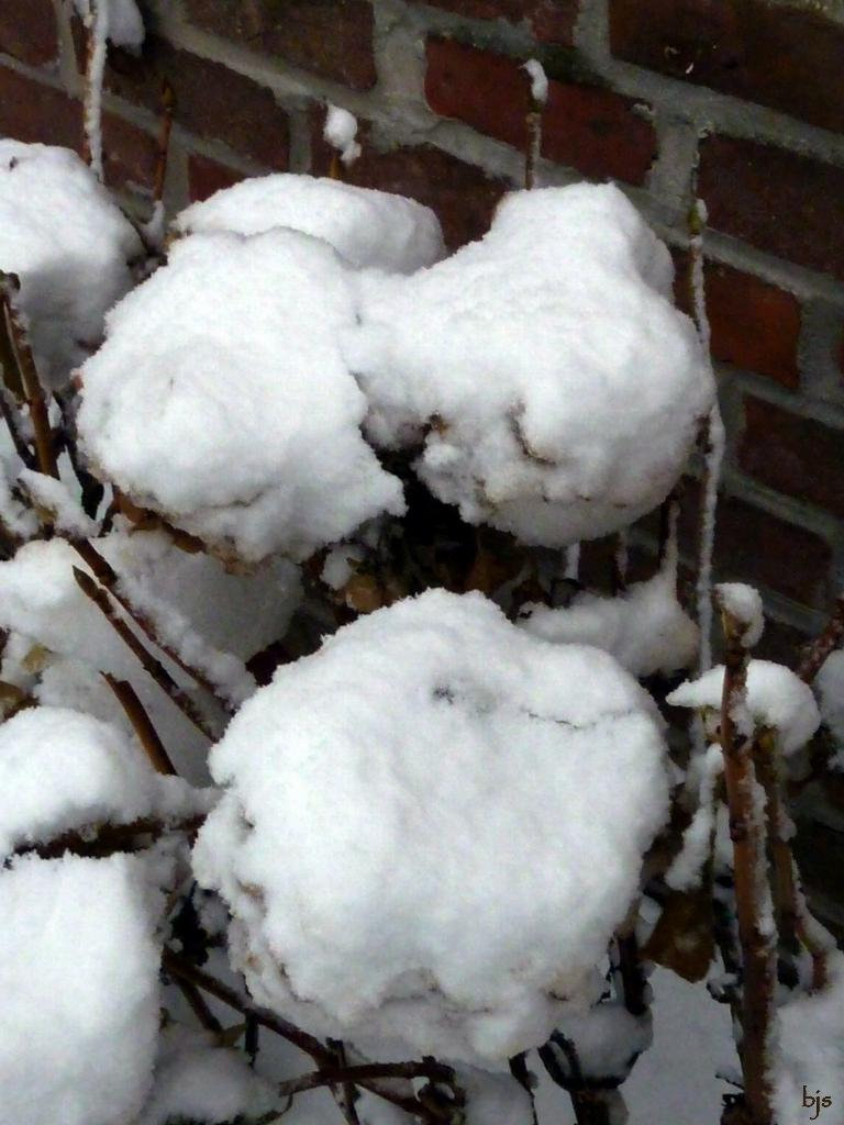 Boules de neige